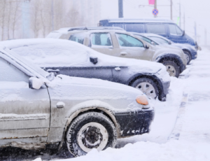 winter-pest-control-pest-link